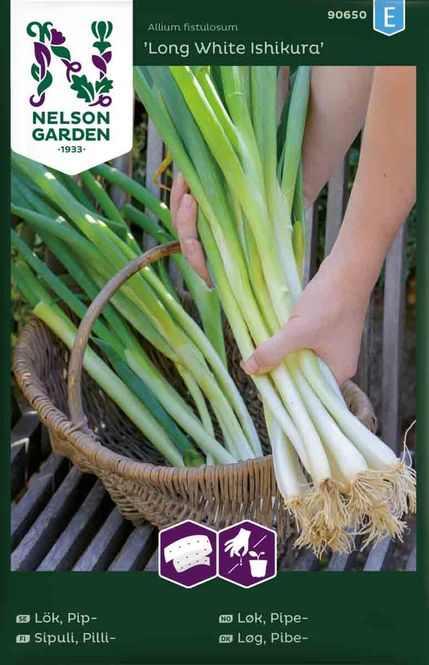 Hovedbilde Pipeløk 'Long White Ishikura' frøbånd