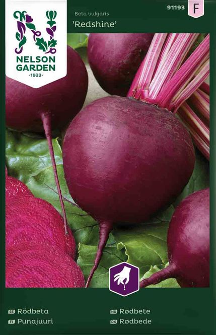 Hovedbilde Rødbete 'Redshine' 